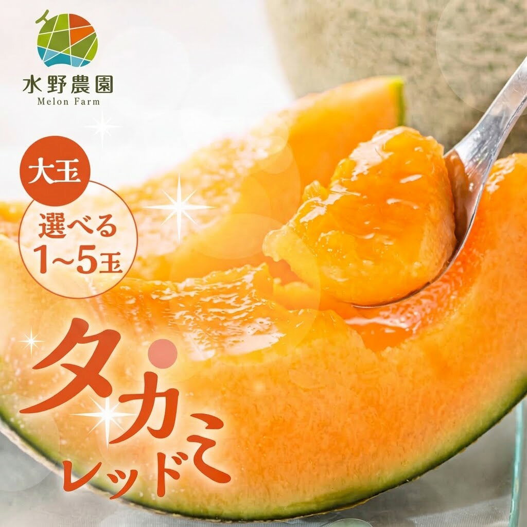 【ふるさと納税】 先行予約 タカミレッド メロン 選べる 大玉1玉?5玉 水野農園　| 2027年6月より順次発送 めろん 先行受付 フルーツ 果物 お中元 お取り寄せ ギフト 渥美半島 田原市 産地直送 送料無料