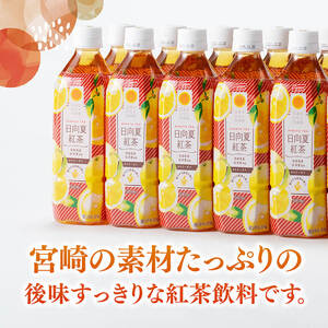 【6ヶ月定期便】サンA 日向夏 紅茶 HINATA TEA 500mlＰＥＴ 24本 入り×2ケース 【飲料 日向夏 紅茶 PET セット ジュース 長期保存 送料無料】