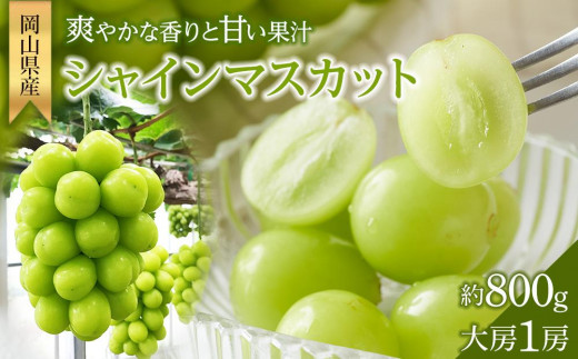 
                  ぶどう 2026年  シャイン マスカット 大房1房 約800g 贈答用 ブドウ 葡萄 岡山県産 国産 フルーツ 果物 ギフト 横木農園
                