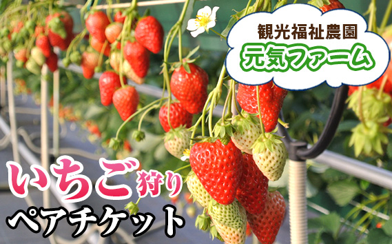 
No.134 ［観光福祉農園元気ファーム］いちご狩りペアチケット
