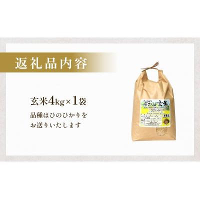 ふるさと納税 玖珠町 【令和8年産米先行受付】原さんちのお米 玄米 4kg ひのひかり 米 お米 こめ コメ |  | 03