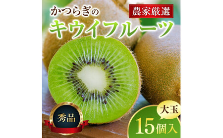 【先行予約】 先行予約！和歌山県産 秀品 キウイフルーツ 大玉15個入 こだわり農家厳選  【2026年12月中旬～2027年1月中旬頃順次発送】/ キウイ キウイフルーツ 果物 フルーツ おやつ【k