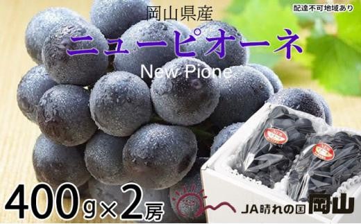 
            ぶどう 2026年 ニュー ピオーネ 約400g×2房 ブドウ 葡萄  岡山県産 国産 フルーツ 果物 ギフト
          