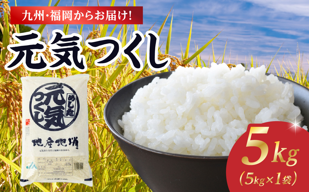 九州・福岡からお届け！ブランド米「元気つくし」5kg×1袋 お米 米 コメ 白米 特A 直送 お弁当 おにぎり 炊きたて ツヤ 粘り もちもち 弾力 卵かけご飯 福岡県 八女市