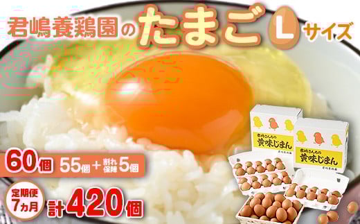 
            【7か月定期便】君嶋養鶏園のたまご Lサイズ 60個（55個＋割れ補償5個）×7ヶ月 計420個 | 定期便 7ヶ月 7か月 7ヵ月 卵 玉子 たまご 赤卵 赤たまご 生卵 国産 濃厚 鶏卵 コク 旨味
          