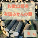 【ふるさと納税】薪 キャンプ用 有田みかんの薪5kg(中太のみ) | アウトドアグッズ 人気 おすすめ 送料無料