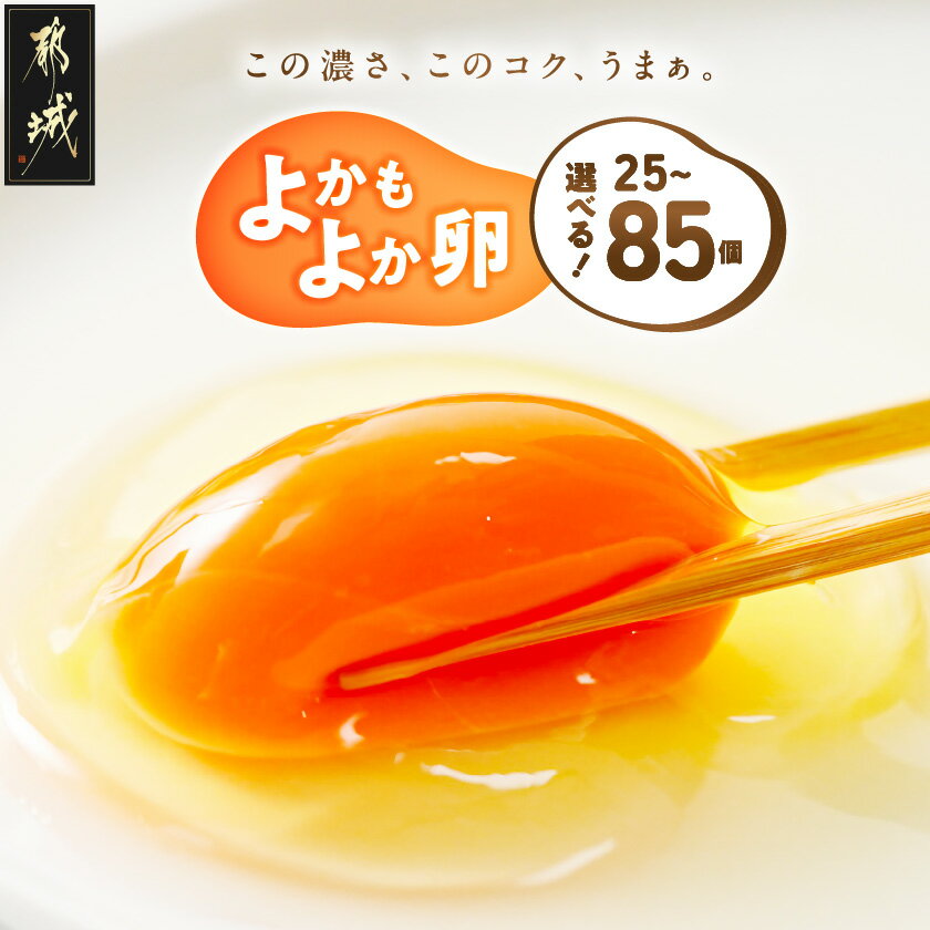 よかもよか卵 5kgセット
