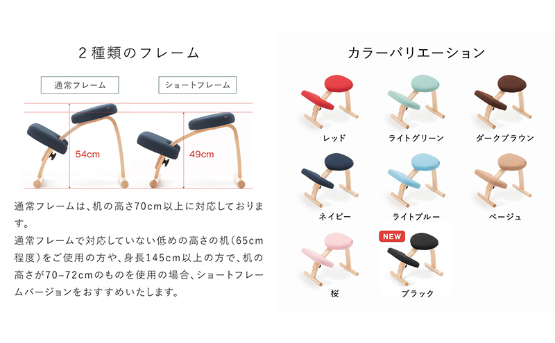 バランスイージー(カバーなし)とイージーライティングボードMのセット ショートブラック