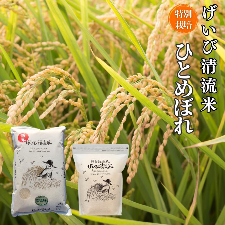 【ふるさと納税】新米 令和7年産 特別栽培 ひとめぼれ げいび清流米 【選べる内容量・回数】2kg / 5kg 定期便 3回 / 6回 岩手 お米 いわて コメ 精米 ブランド米 ご飯 白飯 ごはん お弁当 おにぎり 袋 東北 国産 送料無料 岩手県 一関市