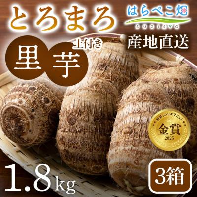ふるさと納税 西尾市 【粘りと甘みが段違い】里芋『とろまろ』土付き・1.8kg3箱・H120