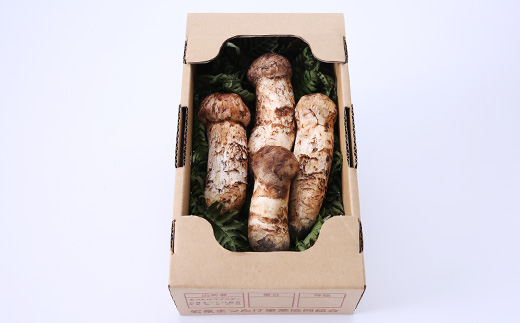 【特選】岩泉まつたけ 直送 300g【配送不可地域：離島】