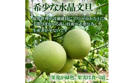水晶文旦 ご家庭用お得箱 約６kg Mサイズ～４Ｌサイズ（12～１６個入り） 訳あり ワケあり 訳 傷 キズ へこみ 文旦 ブンタン ぶんたん 水晶文旦 果物 柑橘 フルーツ 家庭用 ご自宅用