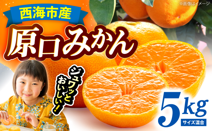 【11月中旬より配送開始】 原口みかん 約5kg （S,Mサイズ混合）＜濱崎ファーム＞ [CGT002]