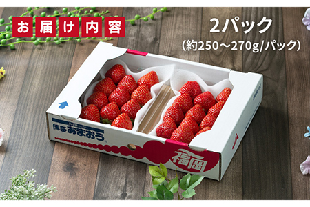 【先行予約】糸島産【冬】 あまおう 2パック 【2024年12月上旬以降順次発送】 《糸島》【南国フルーツ株式会社】 [AIK007]  いちご 苺 イチゴ あまおう 果物 フルーツ ストロベリー グ