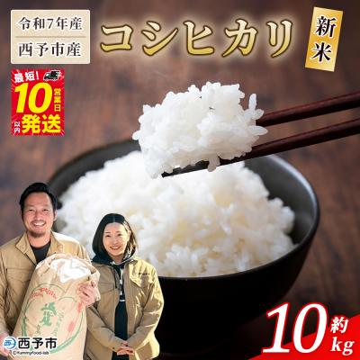 ふるさと納税 西予市 <令和7年産 西予市産 コシヒカリ10kg> 宇都宮米穀 愛媛県産