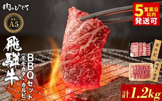 飛騨牛 BBQセット（カルビ・モモカタ） 1.2kg A5 A4 国産 牛 冷凍 和牛 牛肉 カルビ もも モモ カタ 肩 かた 豪華 ギフト 贈答 にく お肉 肉 東白川村 岐阜 飛騨 贅沢 霜降り 赤身 肉のひぐち