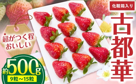 【2027年1月～3月上旬発送】「古都華」化粧箱入りいちご 甘みと酸味のバランスが抜群 古都華 いちご 1パック 9~15粒 化粧箱 生駒いちご園 果物 フルーツ デザート 贈り物 お取り寄せ お取り寄せフルーツ 奈良県 生駒市 送料無料
