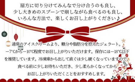 【クリスマス限定】クリスマス2層アイスケーキ（5種から選択） ジェラートケーキ dc-0059