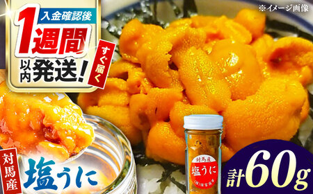 【1週間以内発送】対馬産 塩うに 60g  海鮮 魚介 うに ウニ  [WAA002] スピード発送 最速発送 最短発送