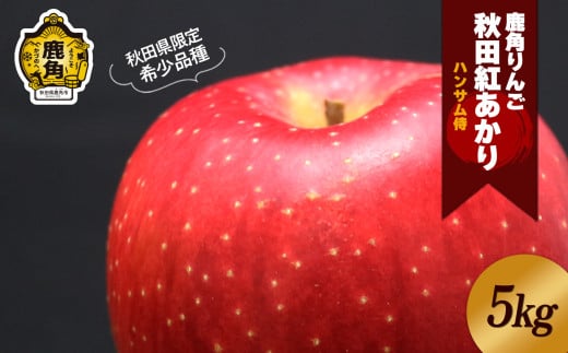 《 先行予約 》鹿角りんご 秀品「秋田紅あかり」約 5kg ●2025年11月上旬発送開始【ハンサム侍】リンゴ 林檎 フルーツ グルメ ギフト 故郷 秋田 あきた 鹿角市 鹿角 送料無料 