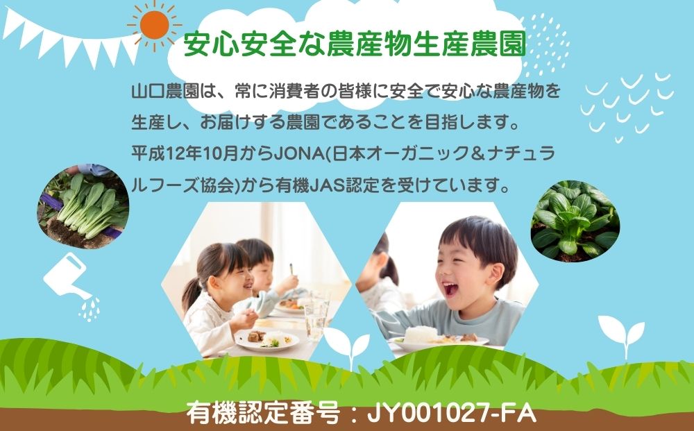 農家のたっぷり野菜カレー 10個／ふるさと納税 レトルトカレー 詰め合わせ 無添加 ギフト 10食 野菜 ふるさと 有機野菜 オーガニック 飯 簡単 時短 保存食 奈良県 宇陀市 山口農園
