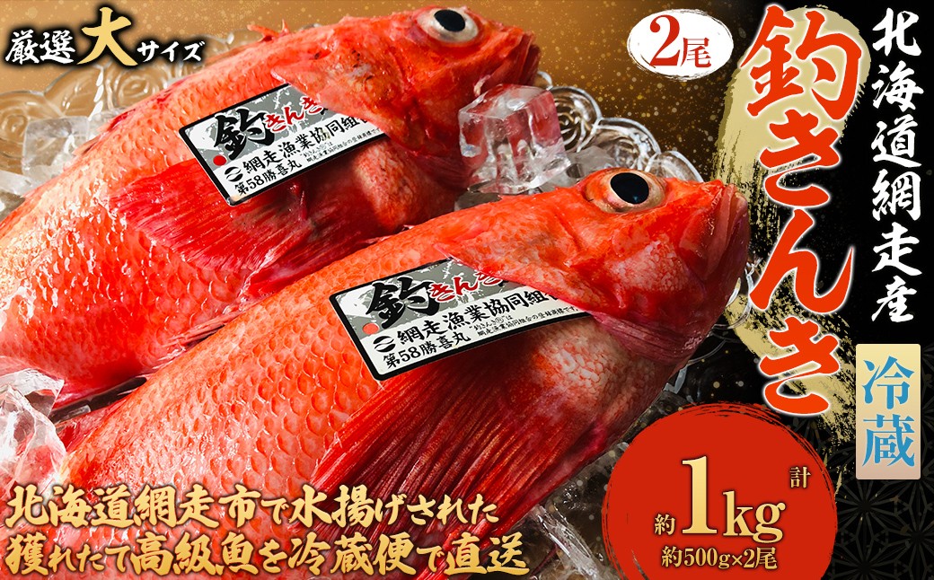 
                  【先行予約】【冷蔵届け】網走産釣りキンキ【2尾で約1kg】（2026年4月中旬頃～11月下旬頃発送）【 ふるさと納税 人気 おすすめ ランキング 釣りきんき きんき キンキ 釣キンキ 網走産 北海道産 2尾 1kg 冷蔵 オホーツク 北海道 網走市 送料無料 】 ABAO116
                