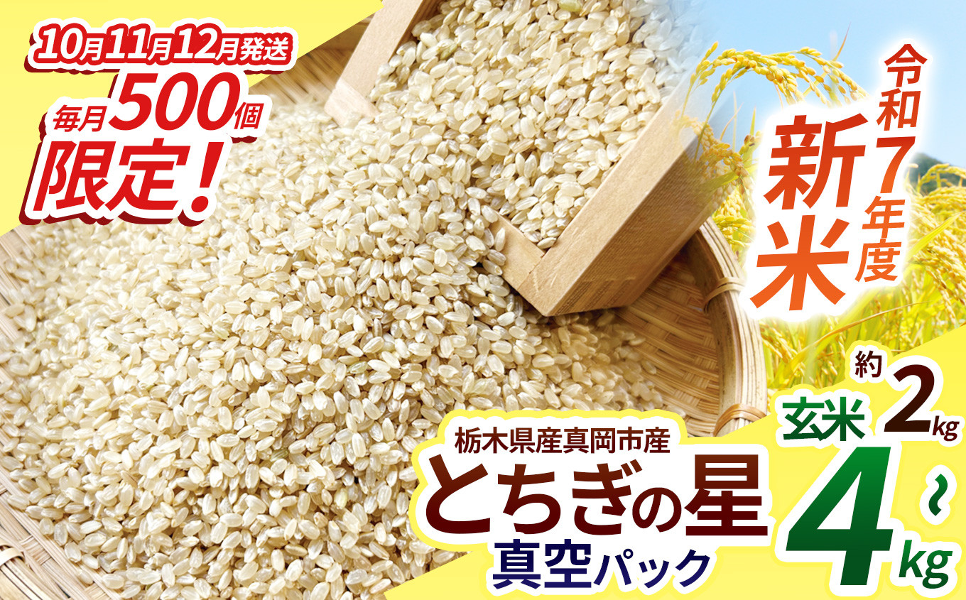 
            【先行予約】いちご農家さん応援米！令和7年度新米 真岡市産とちぎの星（玄米真空パック) 約2kg～4kg 選べる発送月 | 新米 真岡市産 真空 パック 米  お米 玄米 もちもち 数量限定 10月 11月 12月 ふるさと納税 農家直送 新鮮 先行 予約 栃木県 真岡市 送料無料 
          