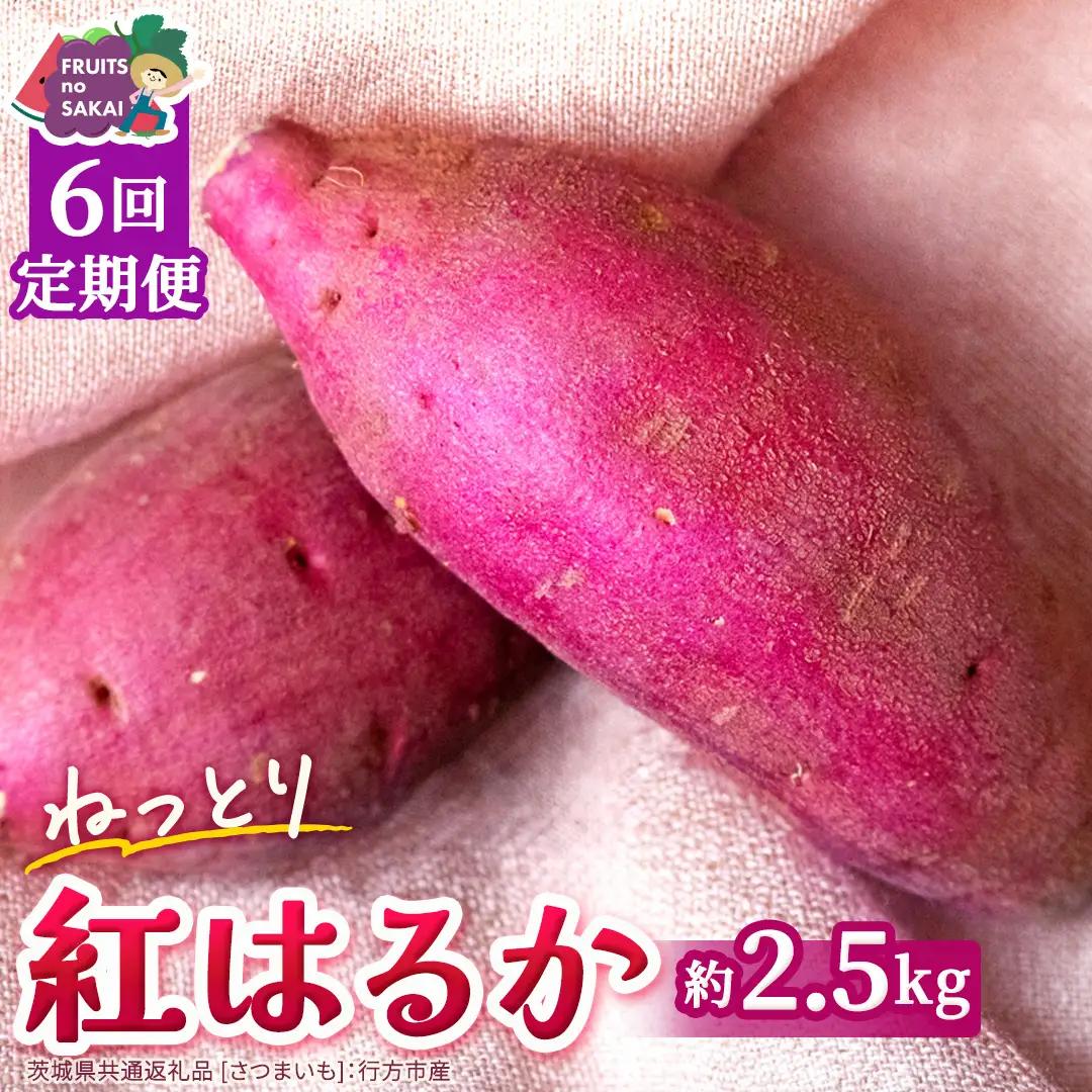 紅はるか 約 2.5kg （6回 定期便 ）（茨城県共通返礼品 [さつまいも]：行方市産）