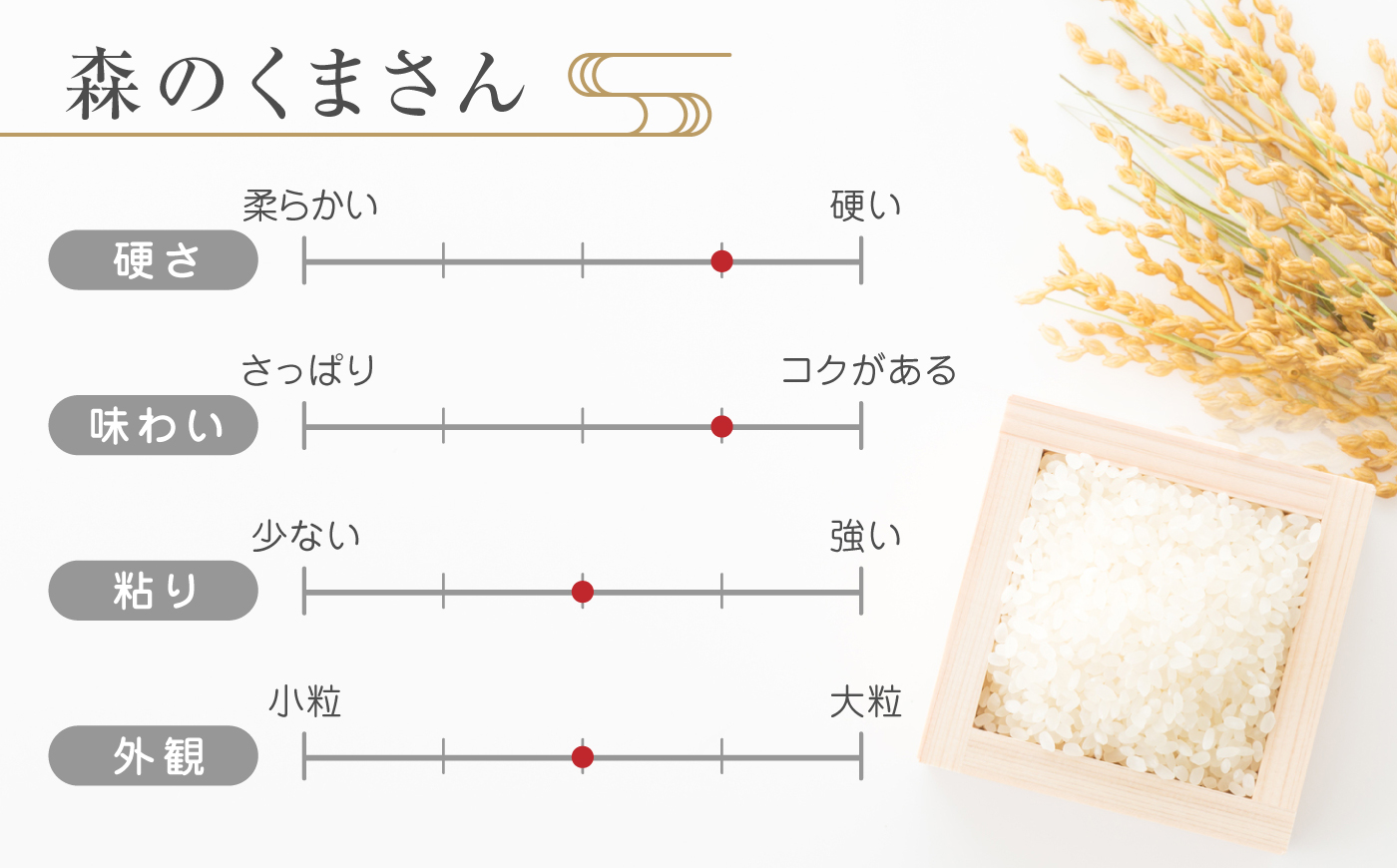 【新米先行予約】〈令和8年度産米〉 森のくまさん 無洗米 10kg【株式会社  農産ベストパートナー】 お米 コメ 熊本 特A 精米 ごはん 特産品 ブランド米  令和7年産 [ZBP035]
