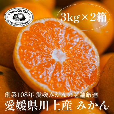 
            愛媛みかんの老舗厳選＜愛媛県川上産 みかん3kg×2箱＞新口農園＜C70-32＞【1536240】
          