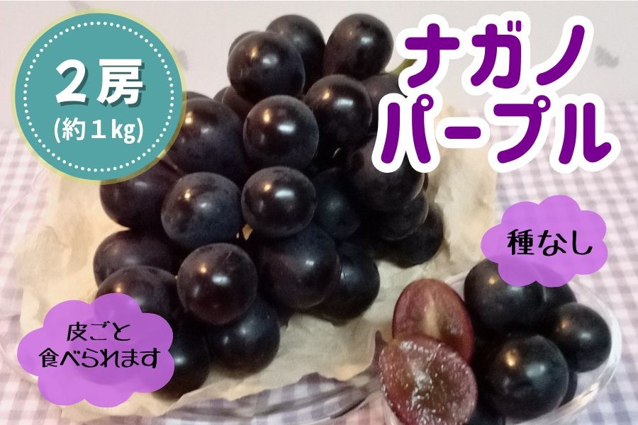 ナガノパープル2房(約1kg) ぶどう ナガノパープル フルーツ 大粒、種なし、皮ごと食べられる黒ぶどう　ナガノパープル