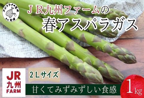 JR九州ファームの春アスパラガス　2Lサイズ1kg( 野菜 新鮮 アスパラガス アスパラ 春アスパラ 甘み )【B2-153】