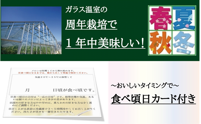 クラウンメロン　名人×1玉　桐箱【3ヶ月定期便】【配送不可：離島】