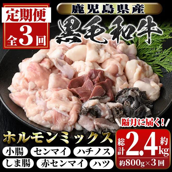 【3回定期便】鹿児島県産 黒毛和牛 ミックスホルモン (約800g×3回・計約2.4kg) 国産【新村畜産】C01011