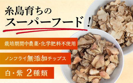 糸島 育ちの 菊いも チップス ・ 紫 菊芋 チップス 80g×各1袋 糸島市 / 糸島ボンテール農園[ACO010]