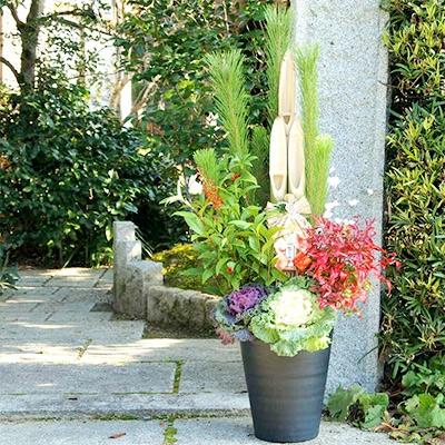 ふるさと納税 朝倉市 天然竹門松(高さ1.2m)1鉢
