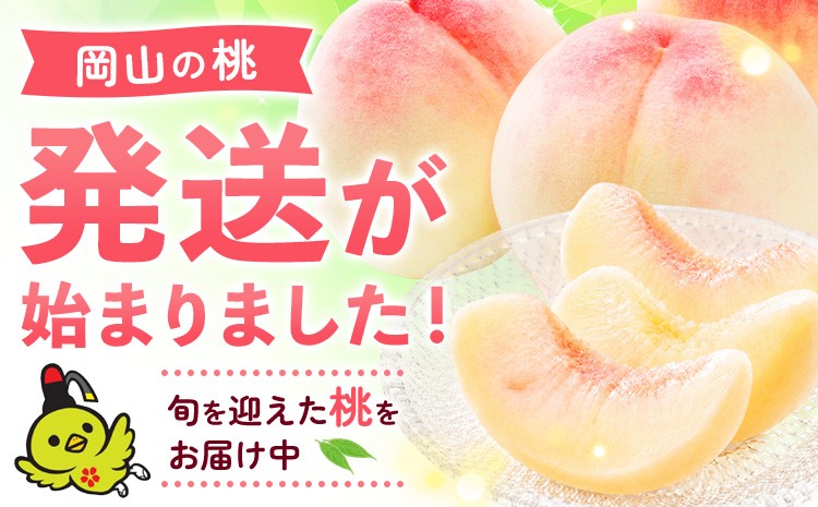 
                  【続々お届け中！】桃  岡山の桃 選べる 約700g 約1kg 約1.3kg 約2.6kg 約4kg 約1.3kg×2回定期便《2026年6月下旬-9月上旬頃出荷》 岡山県 矢掛町 桃 もも 先行予約 もも 白鳳 もも 桃 先行予約 桃 先行予約 桃 もも 
                