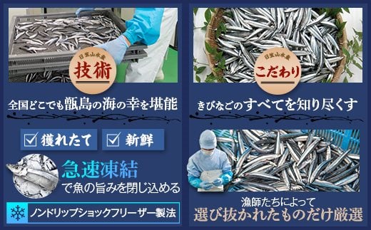 AS-139 天然きびなご漁師漬け 日笠山水産 煎茶･ﾈｷﾞ胡麻･海苔付