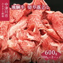 【ふるさと納税】飛騨牛 切り落とし 300g × 2 計 600g モモ 肩 バラ 冷凍【株式会社 熊崎畜産】肉 牛肉 和牛 国産 すき焼き 焼肉 牛丼 炒め物 バーベキュー キャンプ アウトドア 誕生日 記念日 お祝い 人気 お取り寄せ グルメ 送料無料【おうち BBQ】 F4N-1697