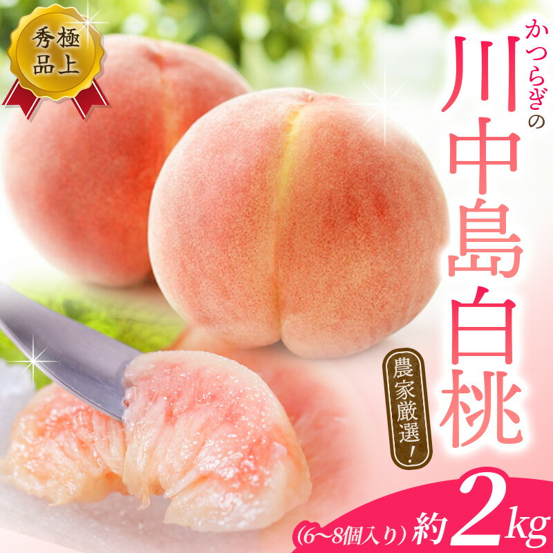 【ふるさと納税】 桃 川中島白桃 約2kg 6～8個入 ☆秀品☆ 《2025年7月末頃から順次発送》こだわり農家厳選 桃 もも モモ 果物 くだもの フルーツ 先行予約 白桃 川中島白桃 人気 和歌山の桃 贈答 贈り物 数量限定 お取り寄せ かつらぎ町 くしがきの里 送料無料 【KG13】