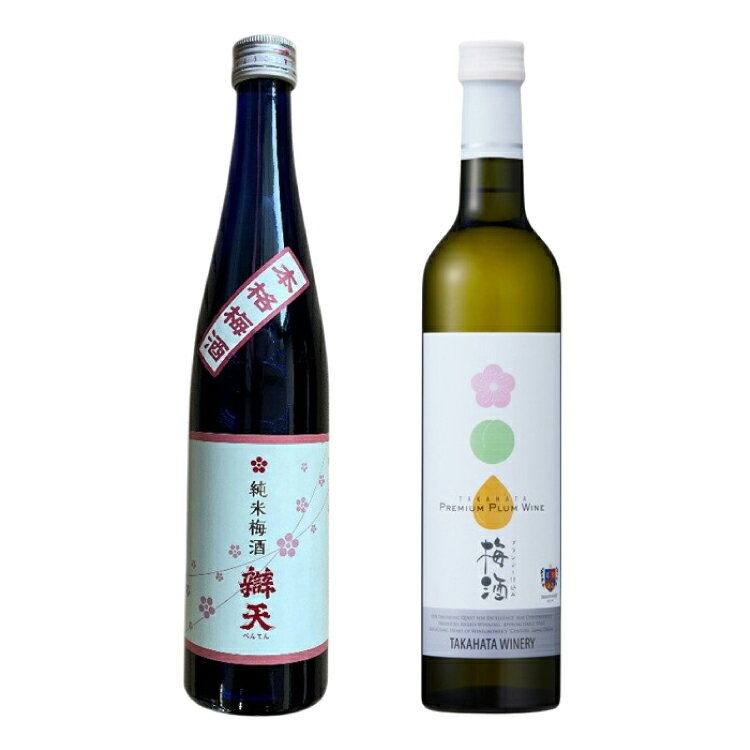 限定品100セット 梅酒2本 高畠ワイン&辯天 500ml 梅酒セット
