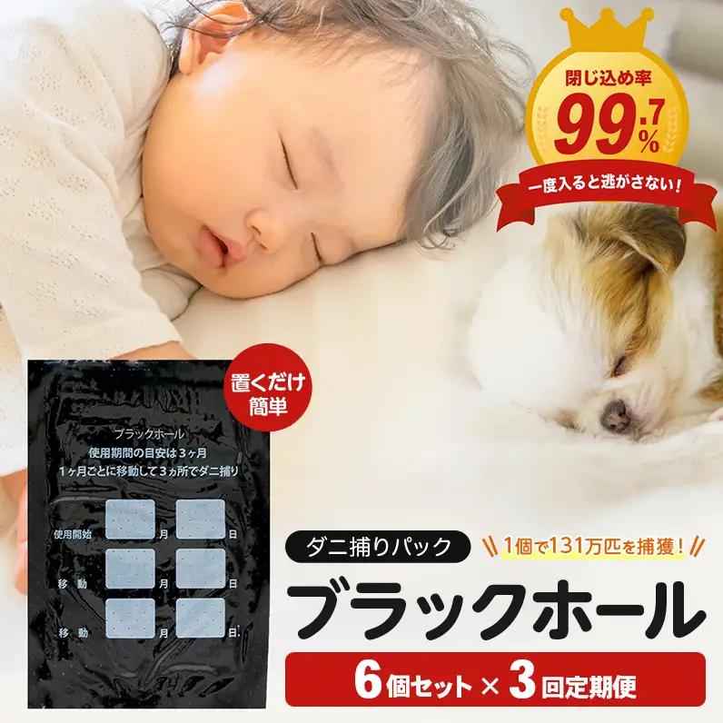 【3回定期便】ダニ捕り パック ブラックホール 6個入 ダニ ダニ取り