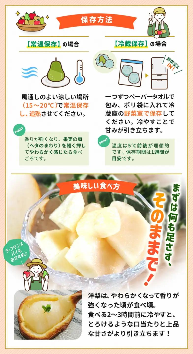 【2026年発送】【松崎果樹園】梨「ラ・フランス」約3kg（7～8玉入） ｜  梨