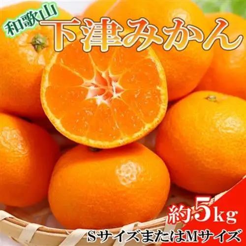 【産直】和歌山下津みかん約5kg(SサイズまたはMサイズのいずれかをお届け・秀品)(日高町)【1217458】