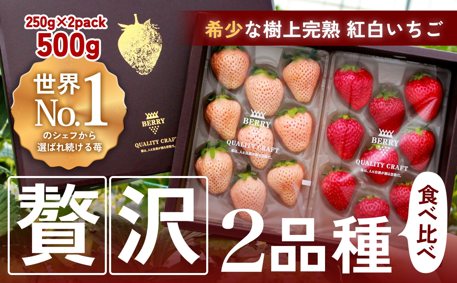 【ふるさと納税】 【完熟クラフト苺BERRY】有名シェフ御用達【紅白いちご】樹上完熟よつぼし・淡雪 約500g（出荷2026年12月上旬〜2027年5月下旬）