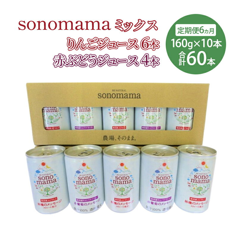 【ふるさと納税】《 定期便 6ヵ月 》ミックス「sonomama」(160g×10本）りんごジュース 赤ぶどうジュース ジュース 飲料