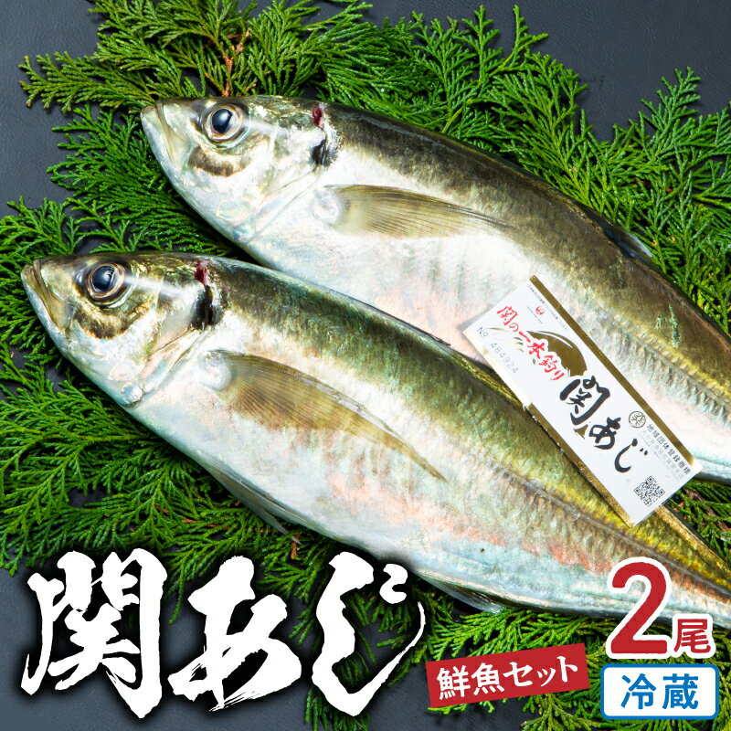 【ふるさと納税】関あじ（鮮魚セット）2尾 約500g×2 ブランド魚 アジ 鯵 関アジ 新鮮 天然 生魚 国産 大分産 寿司 刺身 刺し身 海鮮丼 E04023