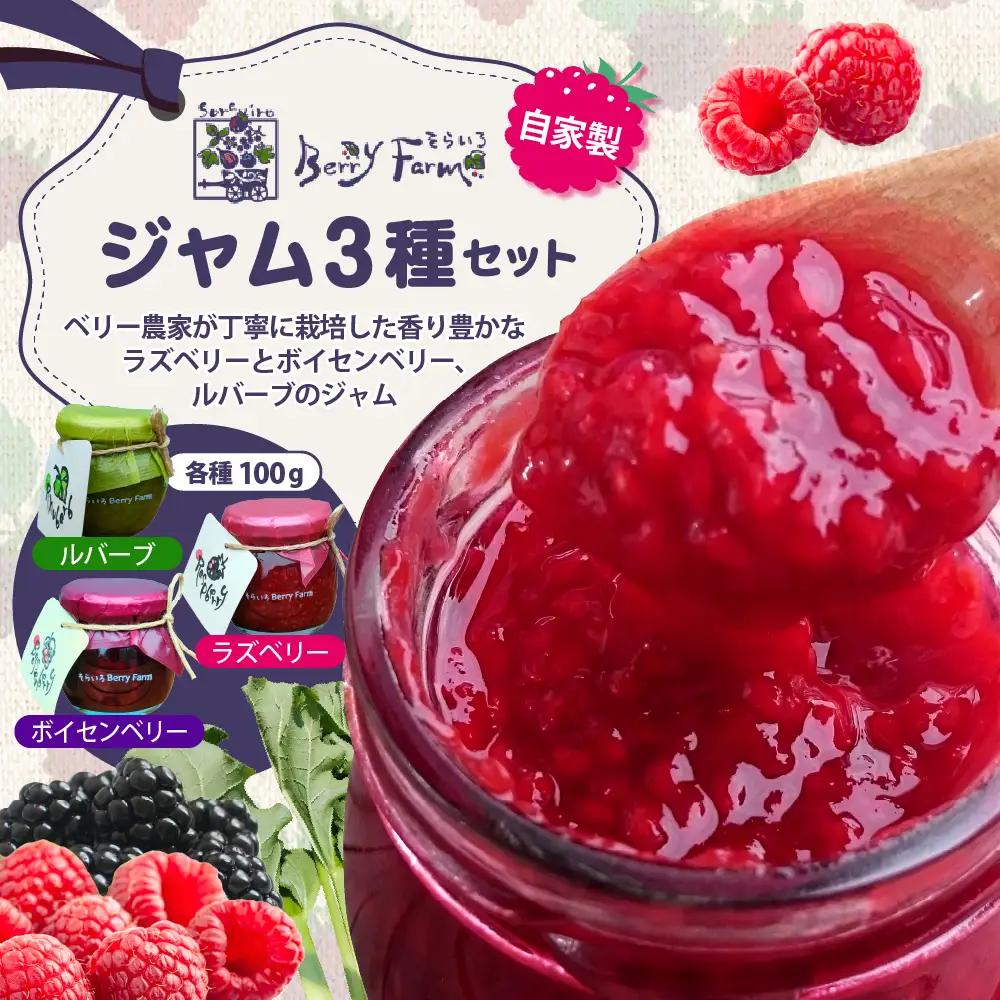 ベリー農家の自家製ジャム3種セット 自家製 ジャム セット