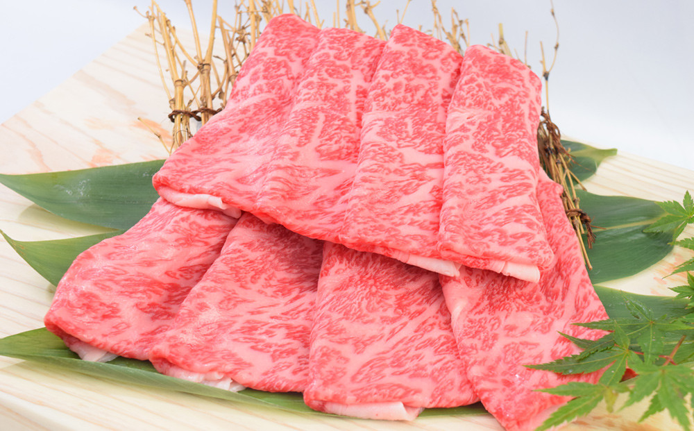
【しゃぶすき用】「佐賀牛」ローススライス (500g)
