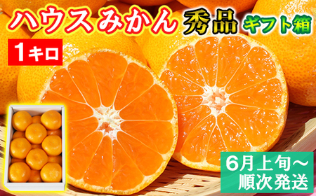 【期間限定】ハウスみかん約1kg（化粧箱入） みかん 温州ミカン 1kg 甘い 秀品 柑橘類 糖度 6月 7月 8月 ハウスみかん フルーツ 先行予約 九州 大分 杵築 ＜132-010＞